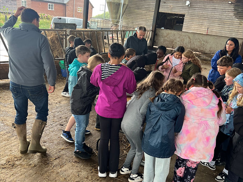 Year 5 at Lower Wood Farm