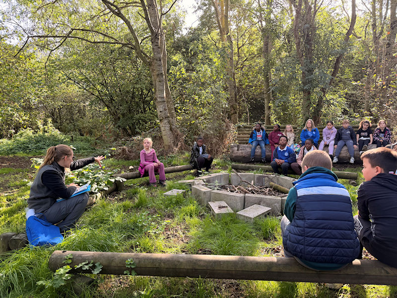 Year 5 at Forge Mill Farm
